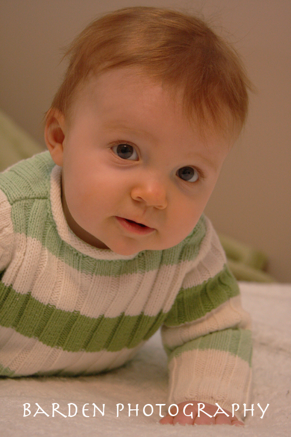 img_4503d-copy