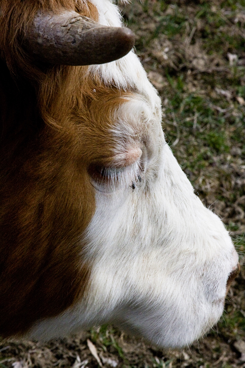 img_6311 img_6311