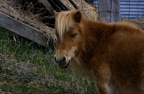 img_6330 img_6330