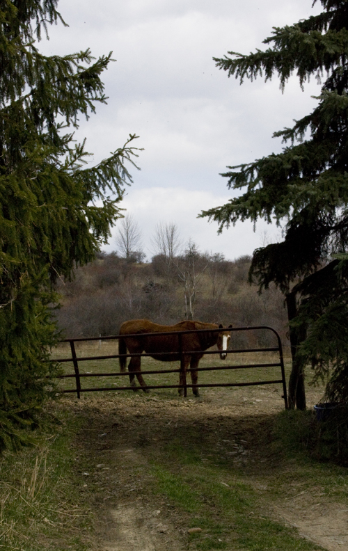 img_6355 img_6355