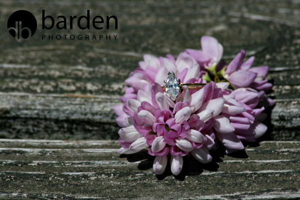 IMG_1115a copy IMG_1115a copy