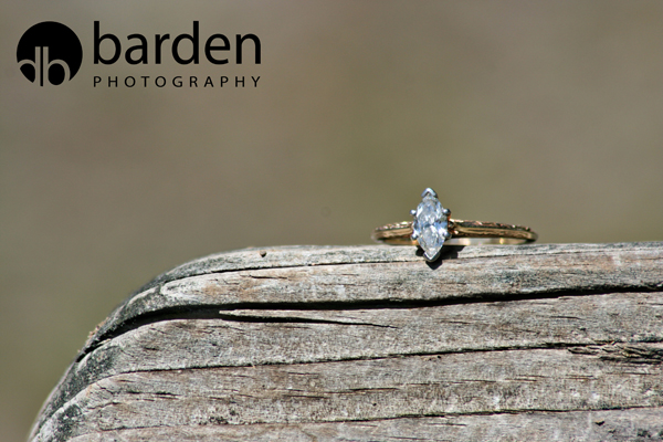 IMG_1118a copy IMG_1118a copy