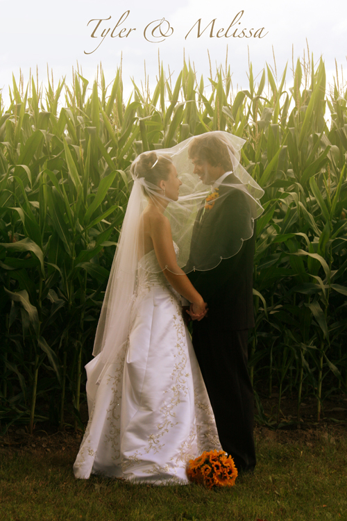 img_0392ddd img_0392ddd