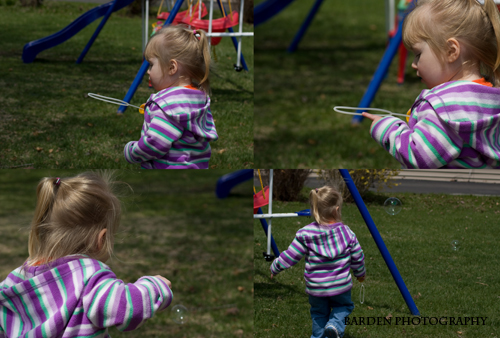 img_6462a-copy img_6462a-copy