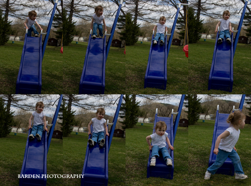 img_6483a-copy img_6483a-copy