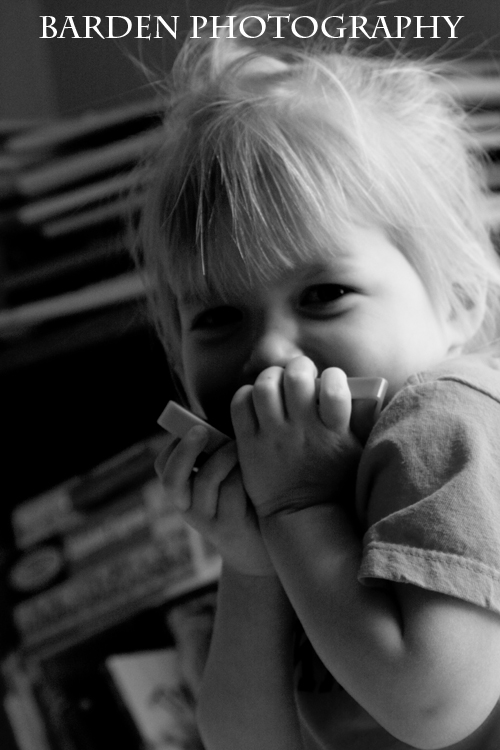 img_6523aaaa-copy img_6523aaaa-copy