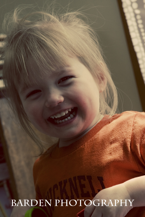 img_6525a-copy img_6525a-copy