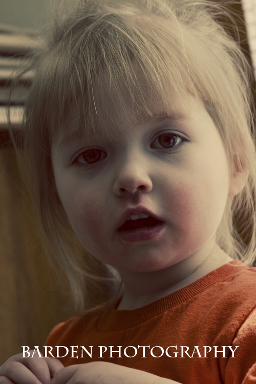 img_6531a-copy img_6531a-copy