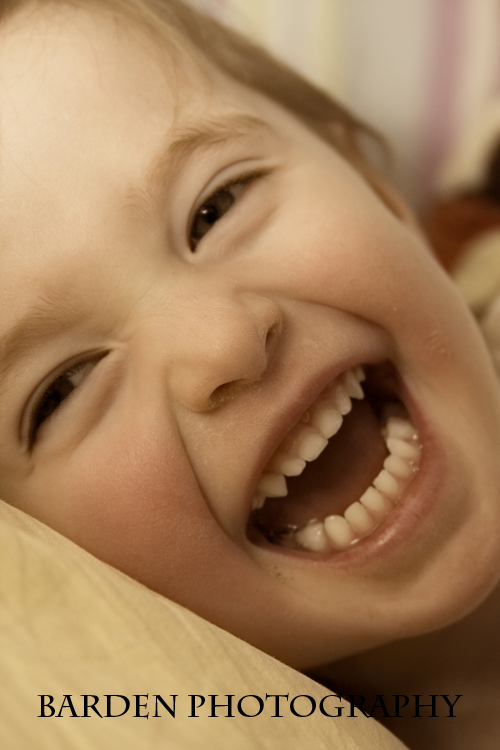 img_6547b-copy img_6547b-copy