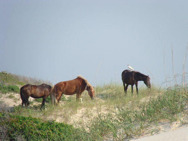 4mirandakendall 4mirandakendall