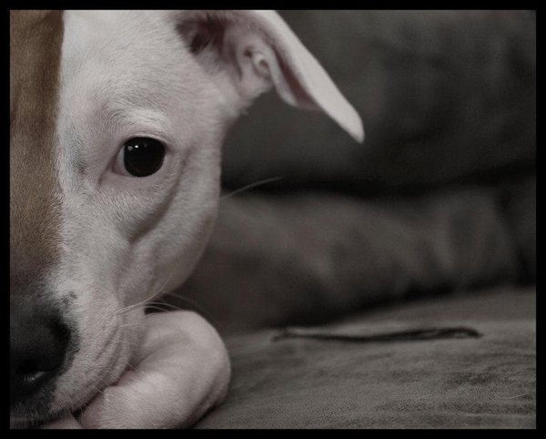 1shawniemccusick 1shawniemccusick