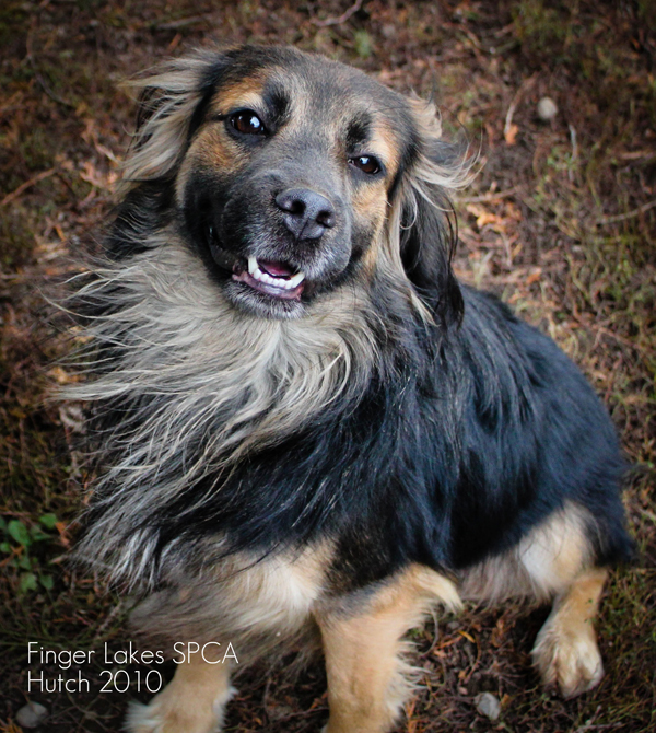 2krissykolesar 2krissykolesar