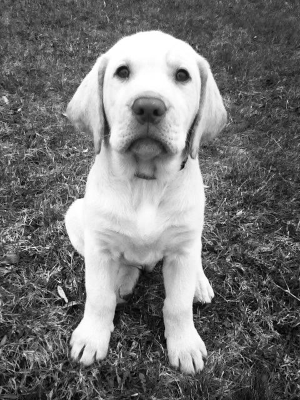 3ashleybaker 3ashleybaker