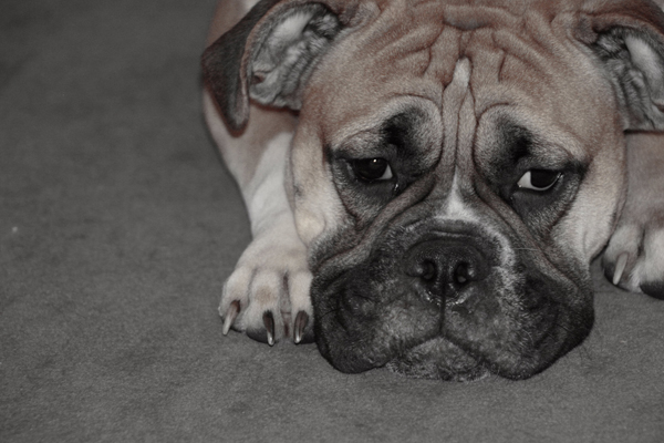 5sarahgriffin 5sarahgriffin